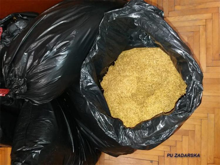 Slika /2022/DUHAN2.jpg